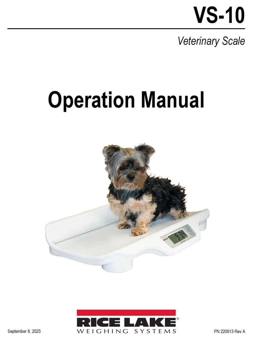 Rice Lake VS-10 User manual
