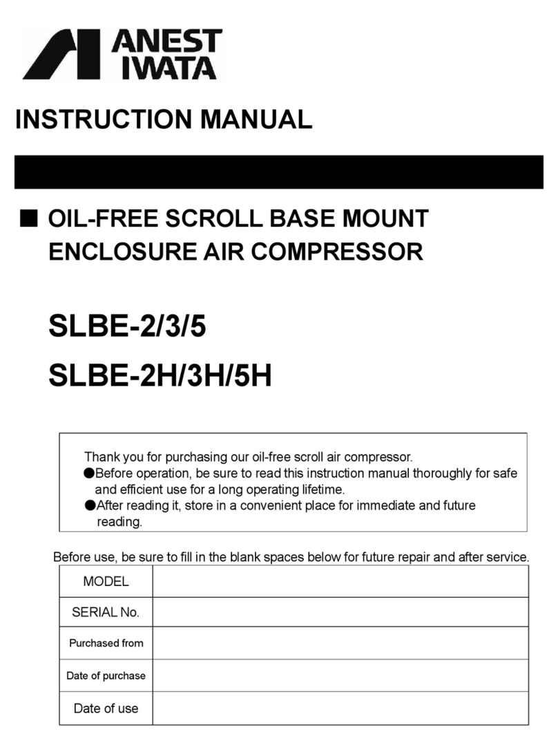 Anest Iwata SLBE-2 instruction manual