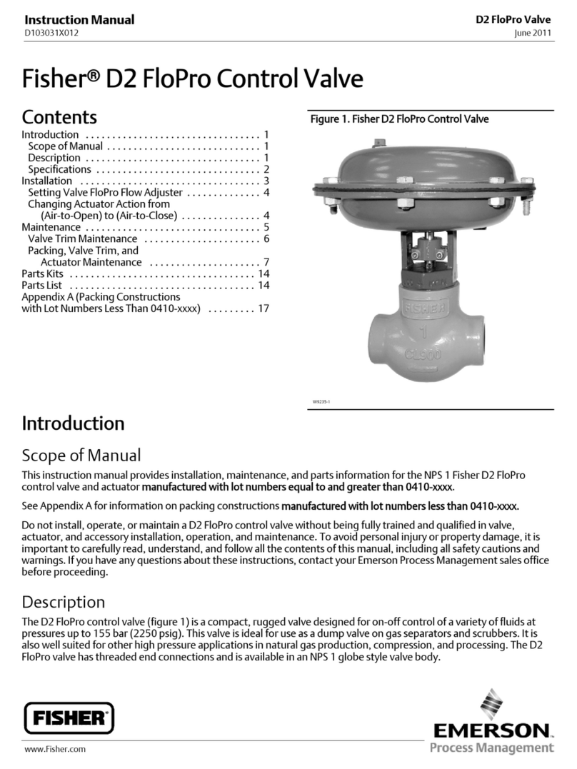 Emerson Fisherr D2 FloPro instruction manual