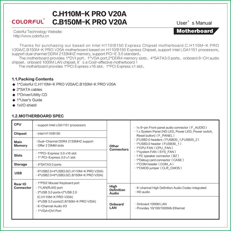 Colorful C.H110M-K PRO V20A user manual