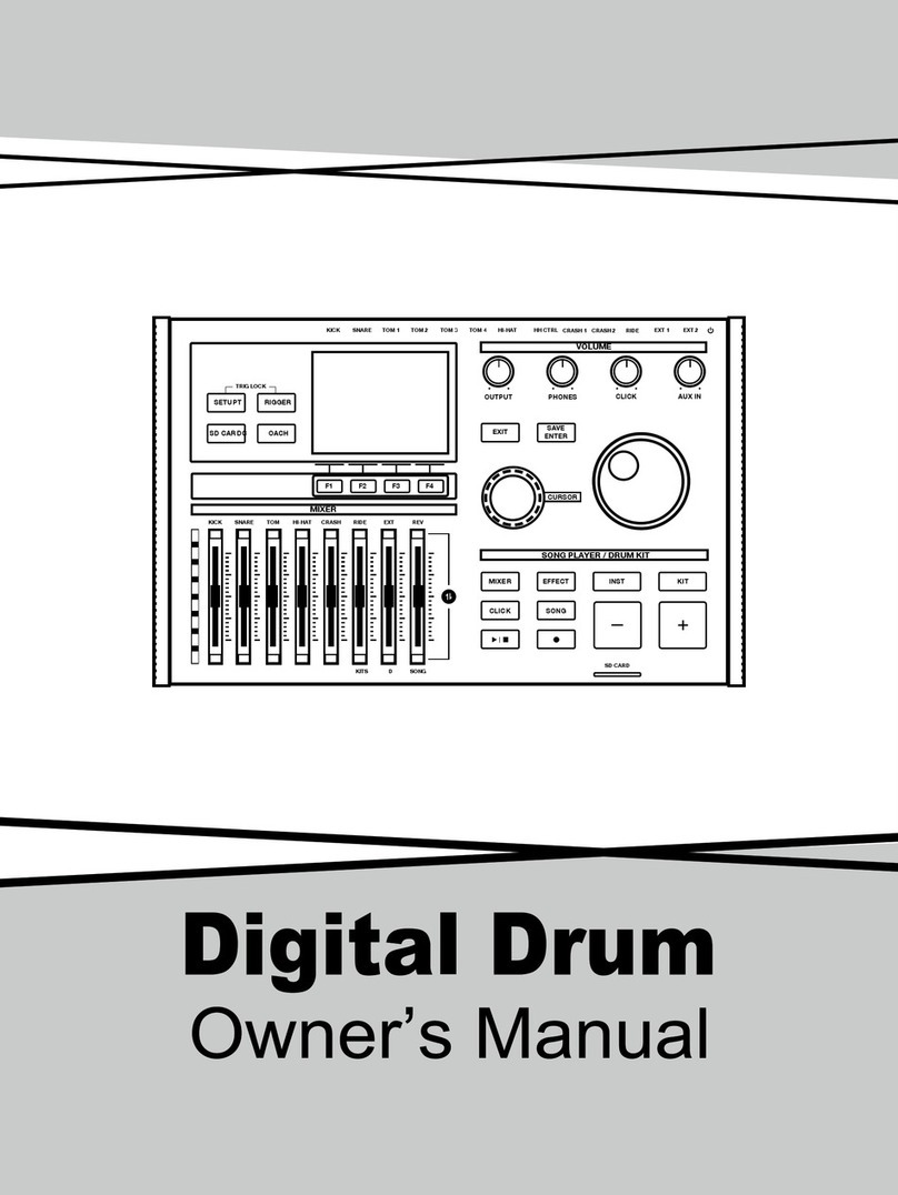 Medeli MZ928 User manual