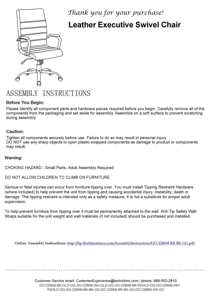 Belnick GO-2286M-BK-GLD-GG Assembly instructions