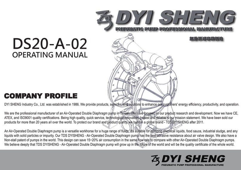 DYI SHENG DS20-A-02 operating manual