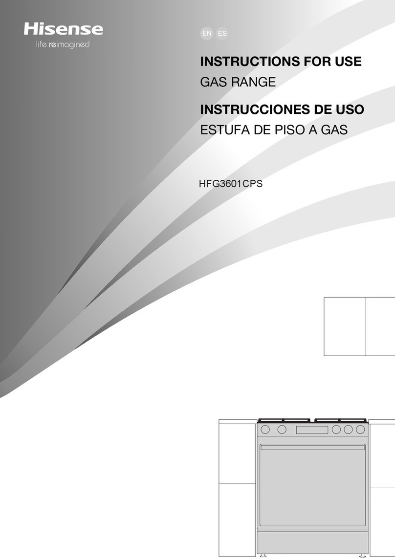 Hisense HFG3601CPS User manual