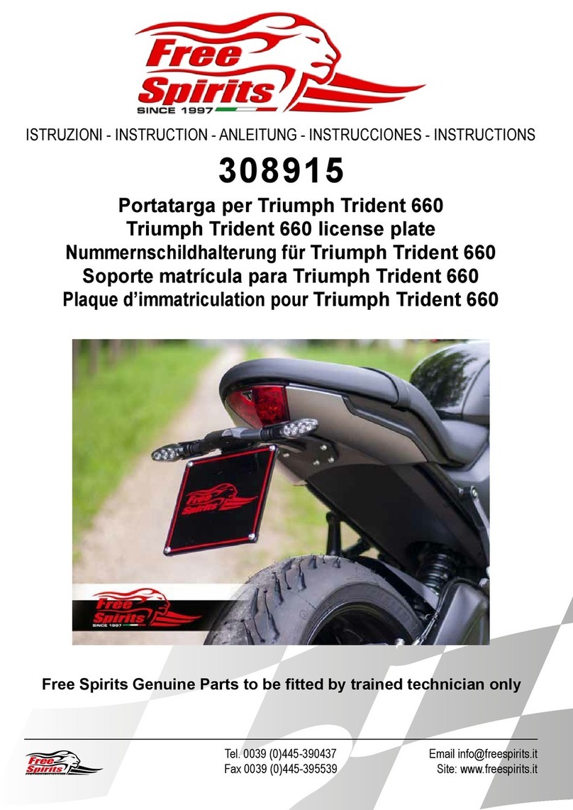 Free Spirits Triumph Trident 660 instructions