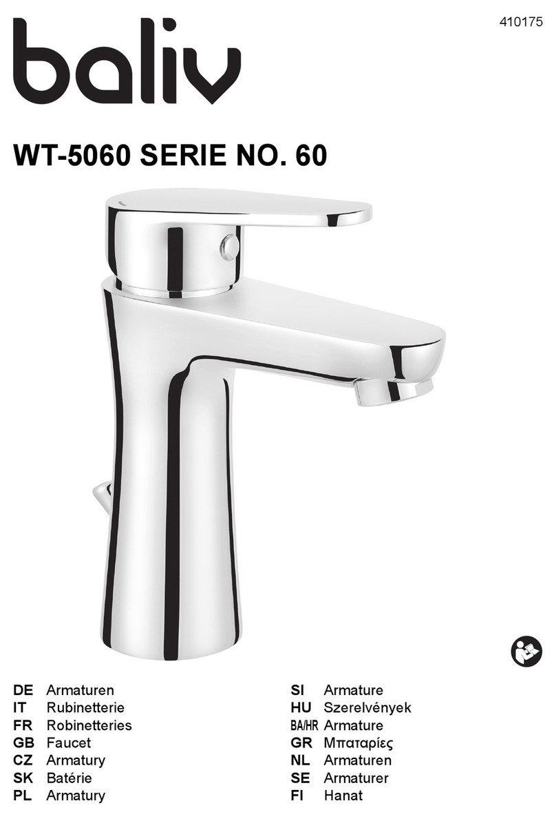baliv WT-5060 User manual