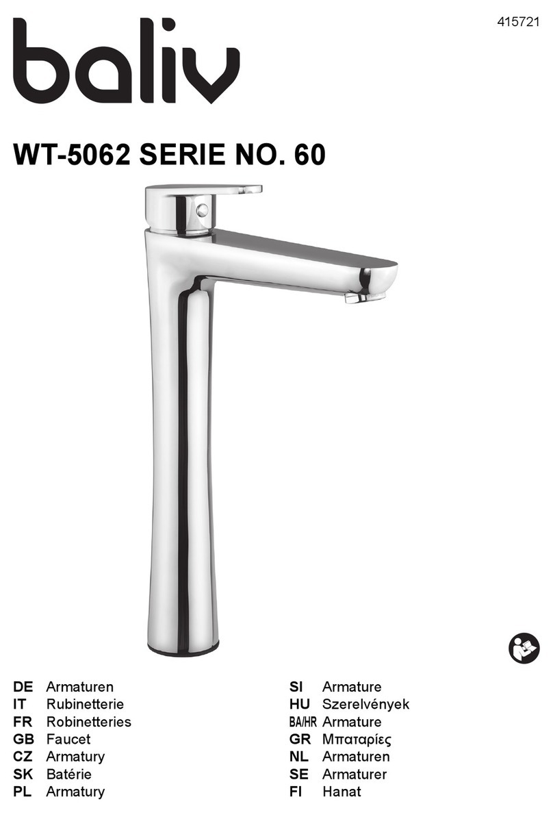 baliv WT-5062 User manual