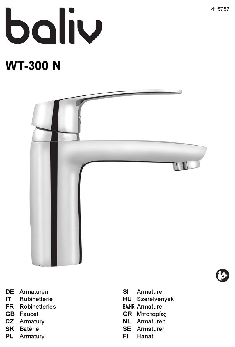baliv WT-300 N manual