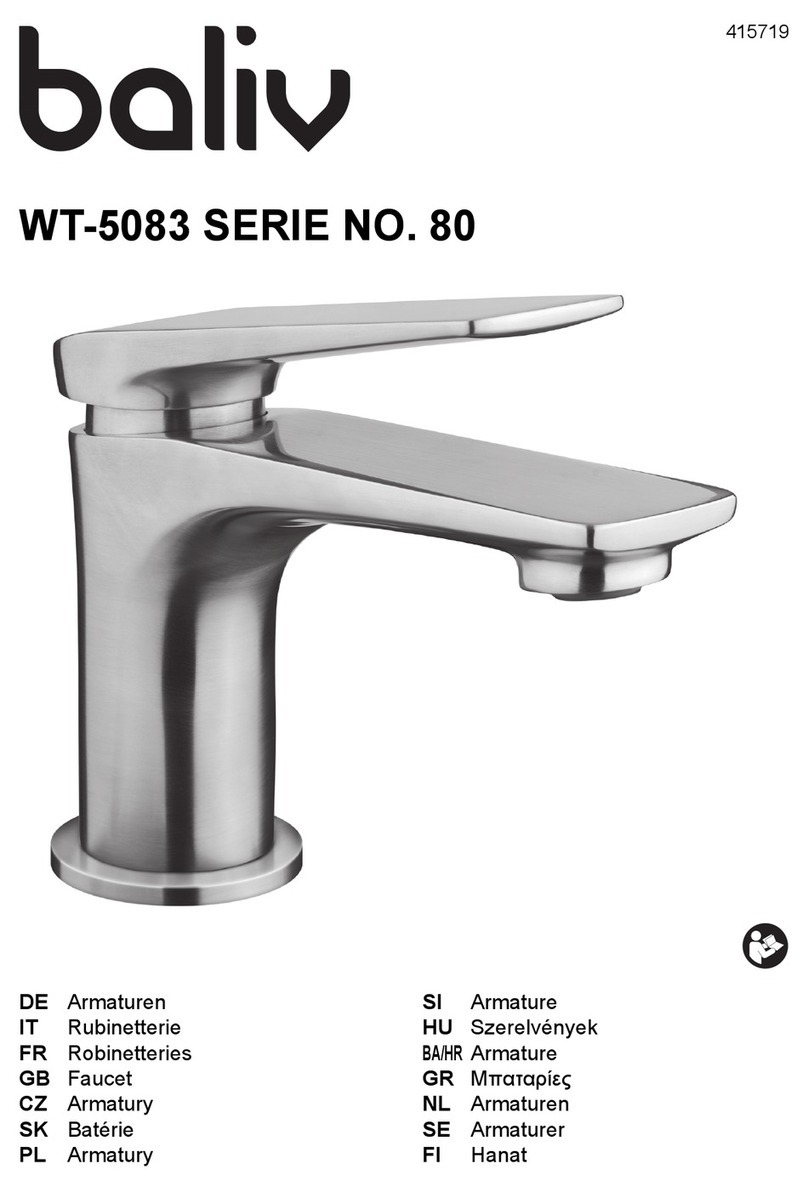 baliv WT-5083 manual