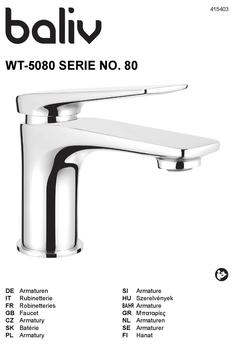 baliv WT-5080 manual