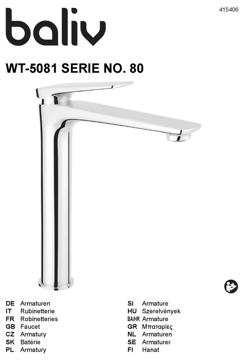 baliv WT-5081 User manual