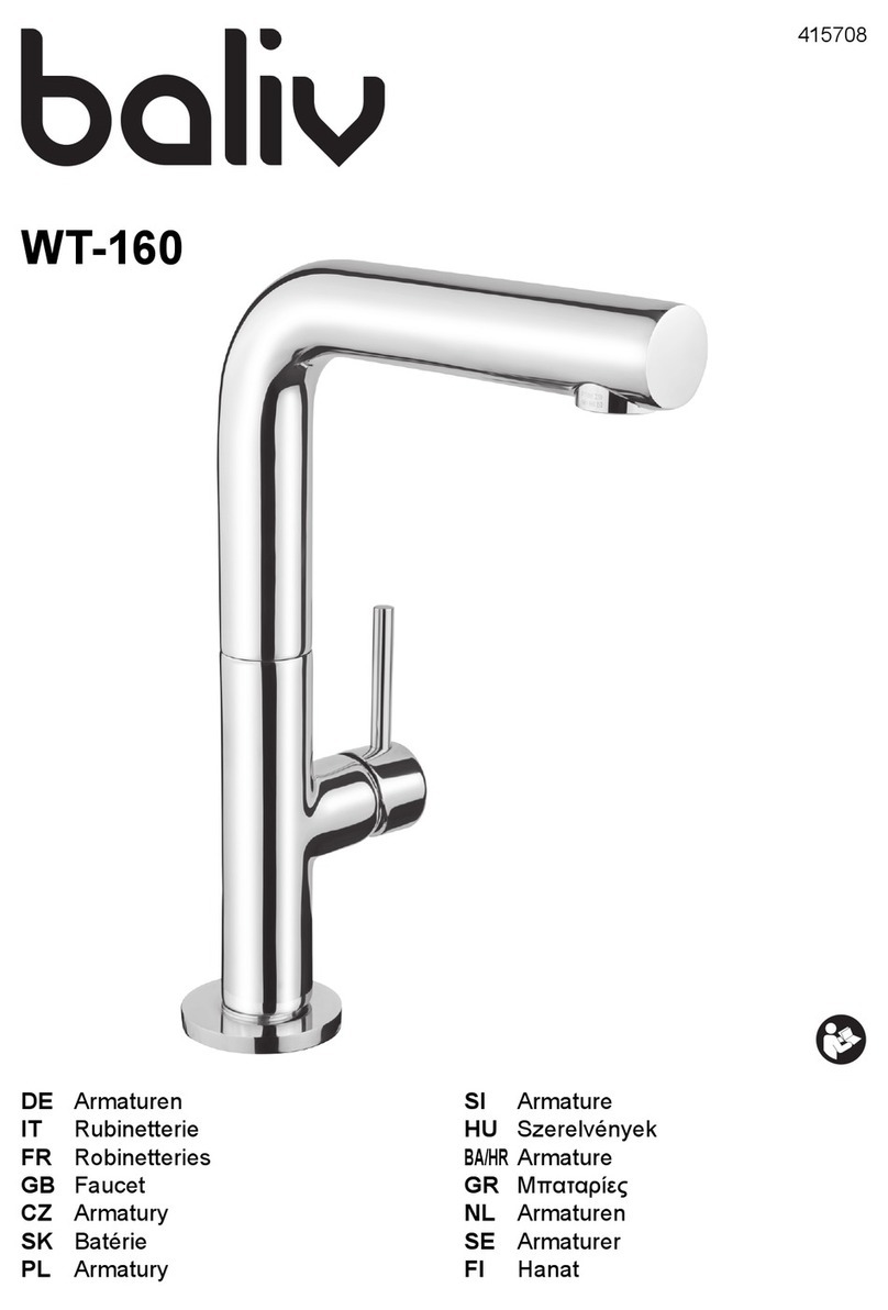 baliv WT-160 User manual