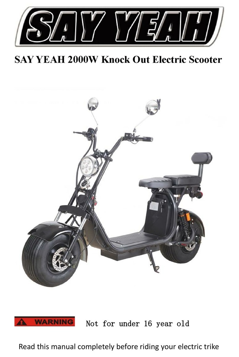 SAY YEAH 2000W Knock Out User manual
