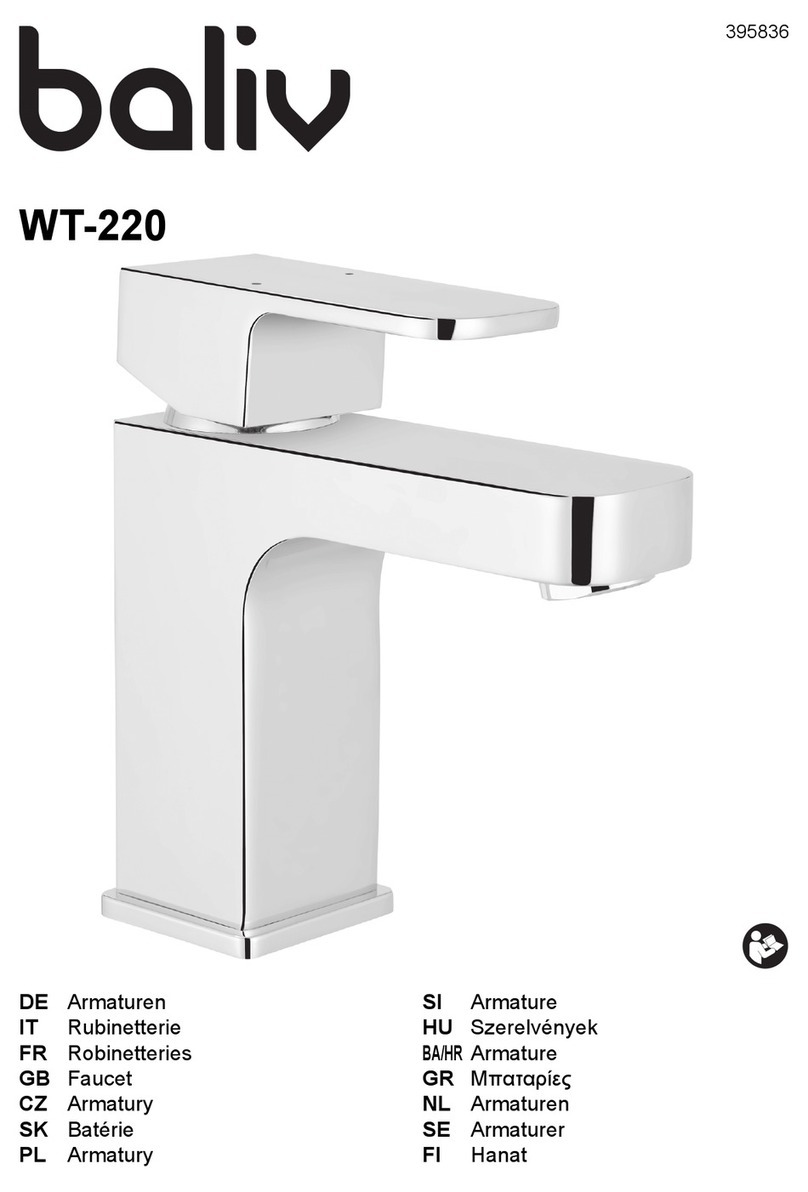 baliv WT-220 instructions