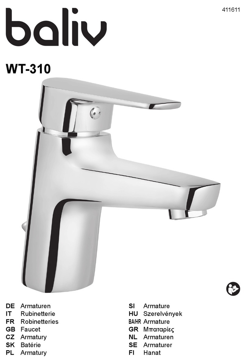 baliv WT-310 User manual