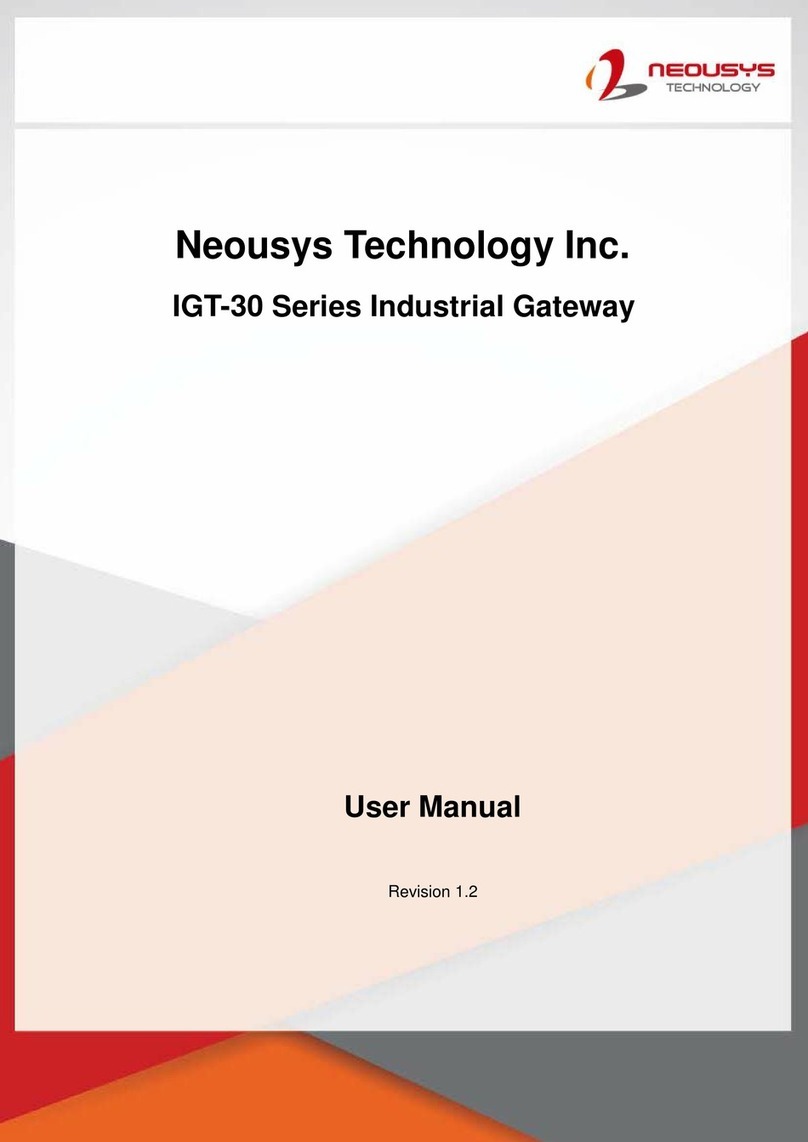 Neousys IGT-33V user manual