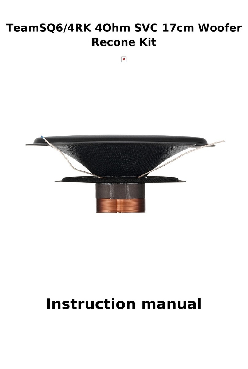 BASSFACE TeamSQ6/4RK instruction manual