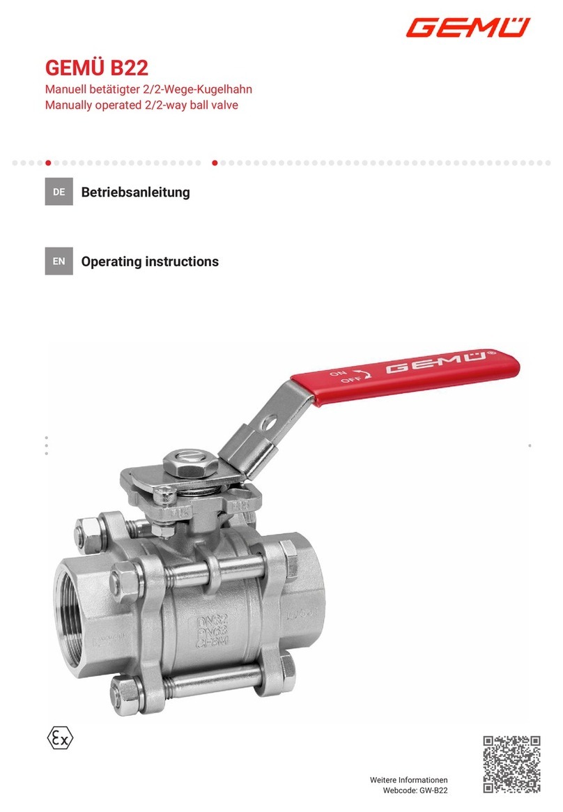 GEM B22 User manual