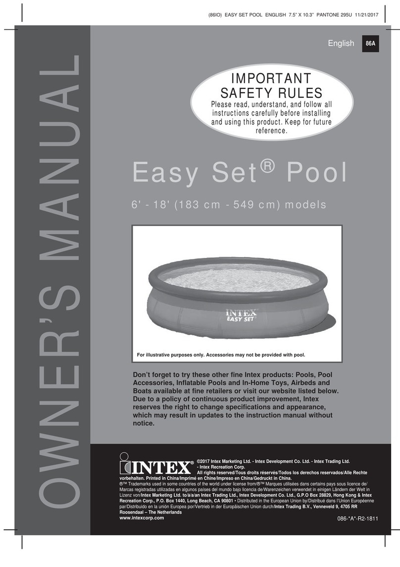 Intex Easy Set 26168NP User manual