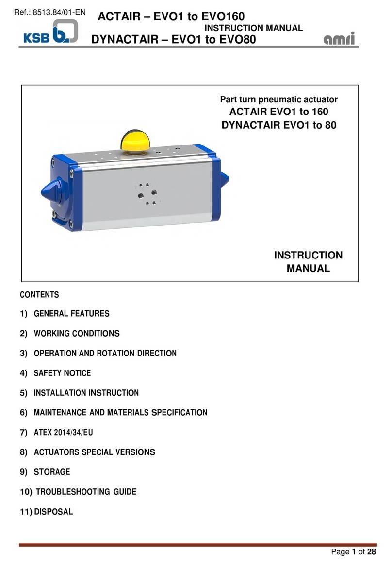 KSB amri EVO 1 User manual