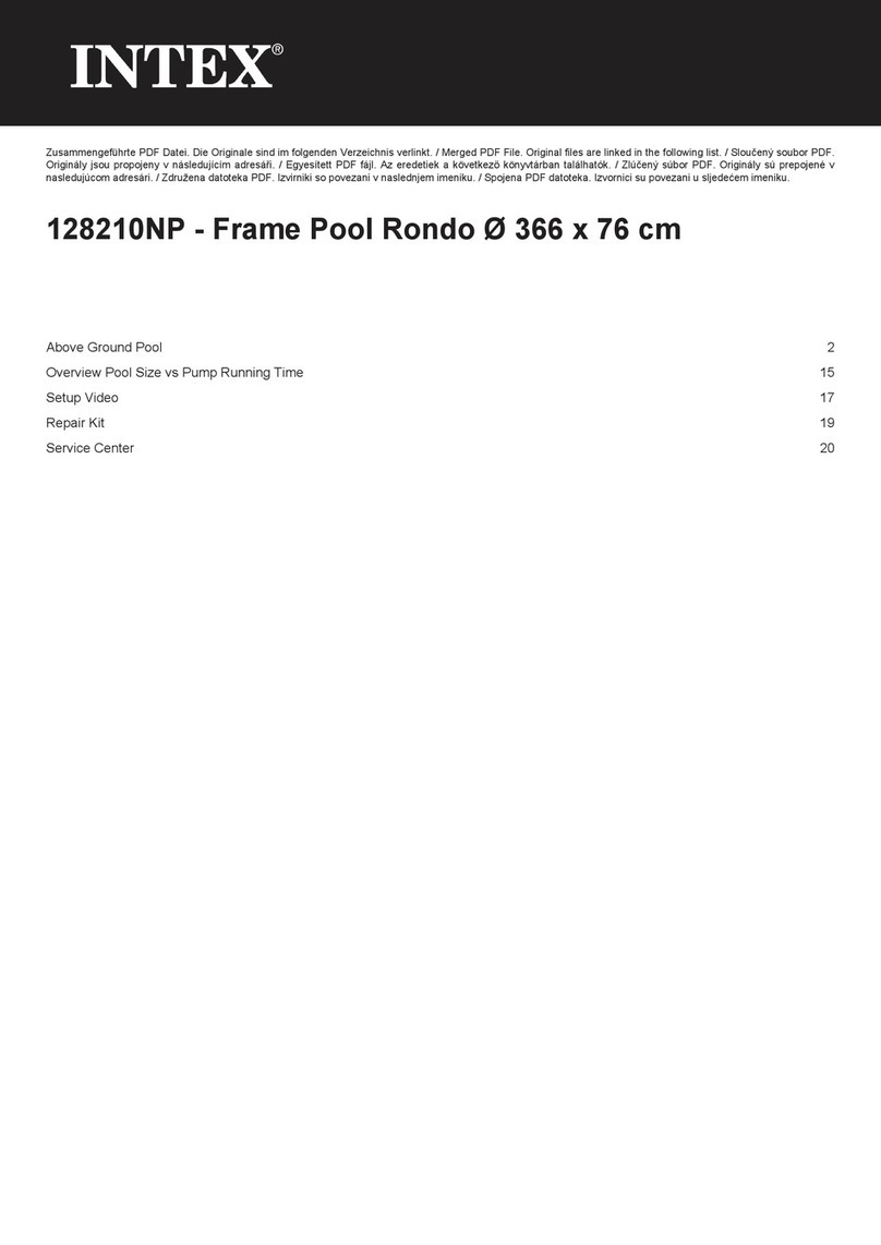Intex 128210NP User manual