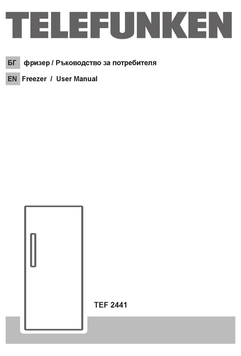 Telefunken TEF 2441 user manual