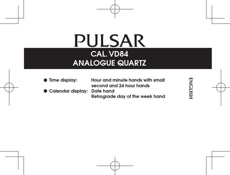 Pulsar VD84 User manual