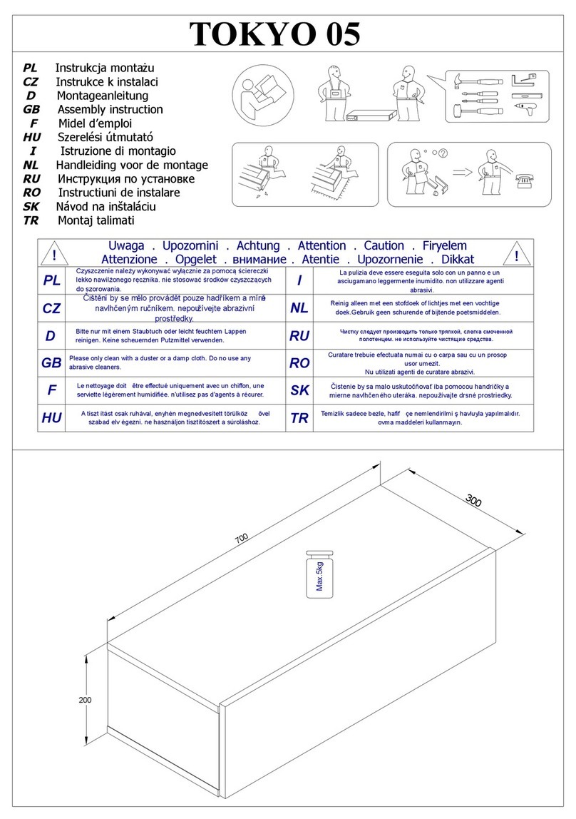 INOSIGN TOKYO 05 Assembly instruction