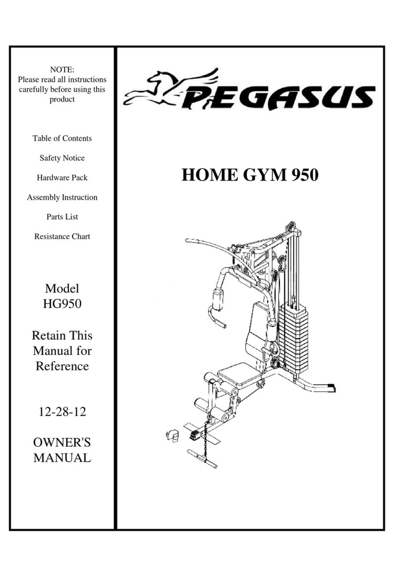 Pegasus HG950 owner's manual