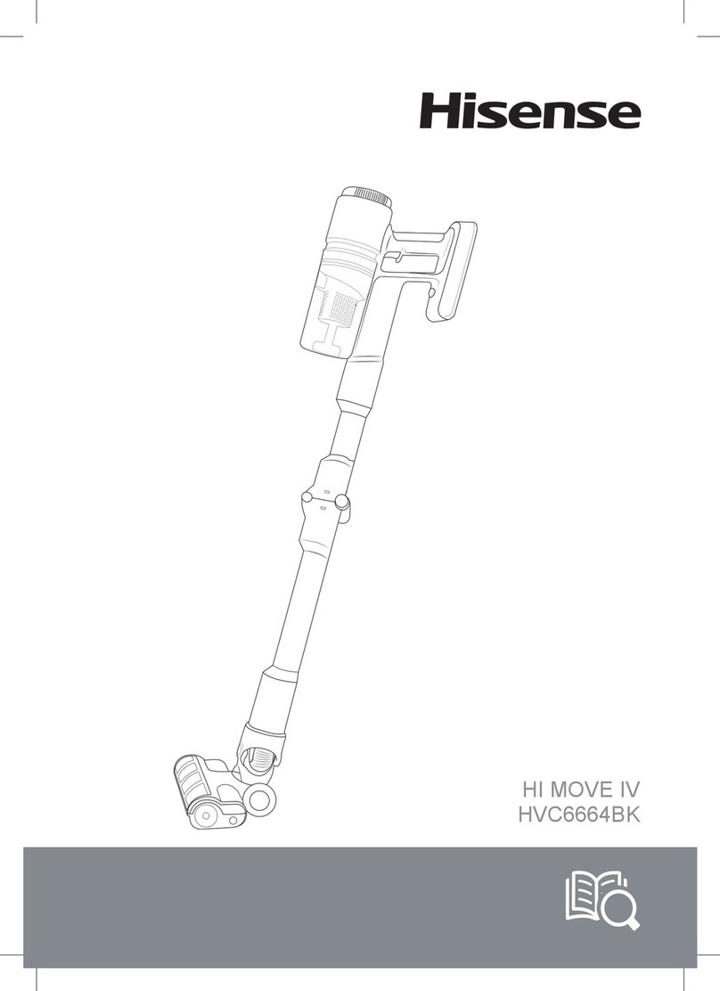 Hisense HI MOVE IV User manual