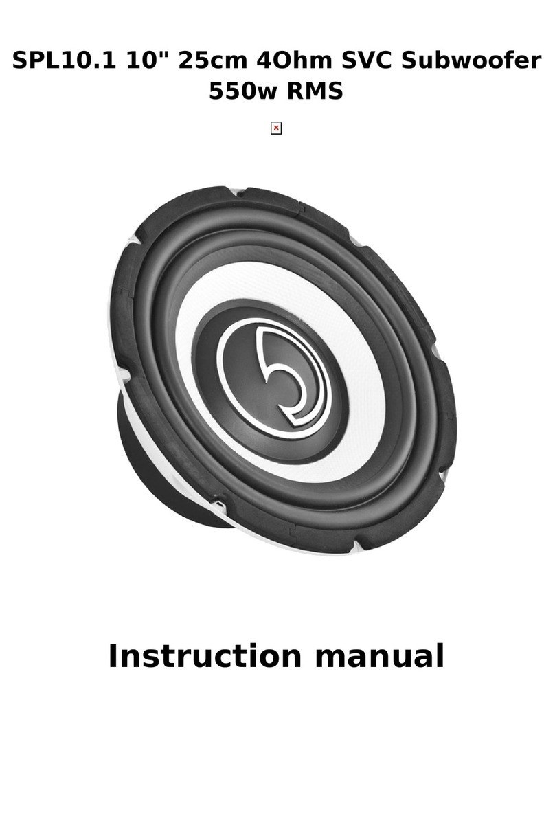 BASSFACE SPL10.1 instruction manual