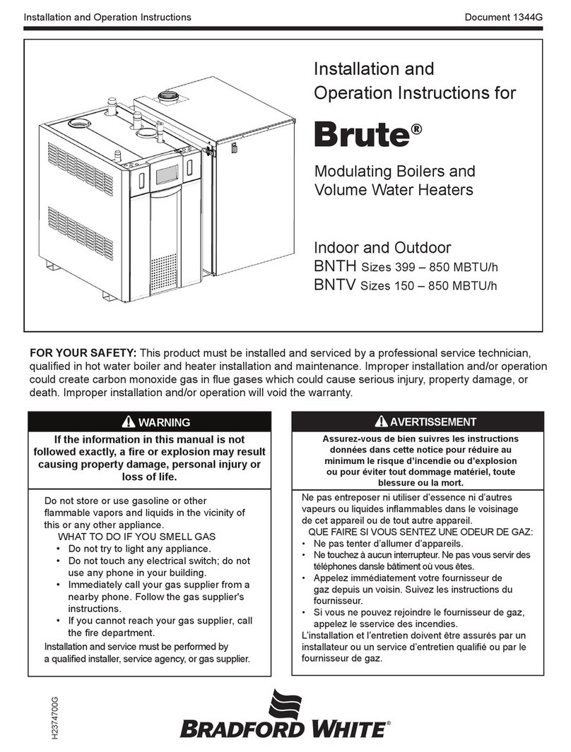 Bradford White Brute BNTH Series Installation and operation instruction