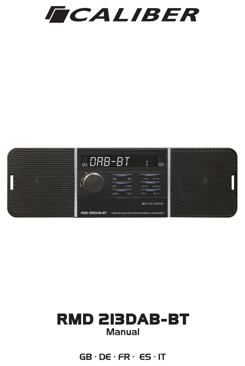 Caliber RMD 213DAB-BT manual