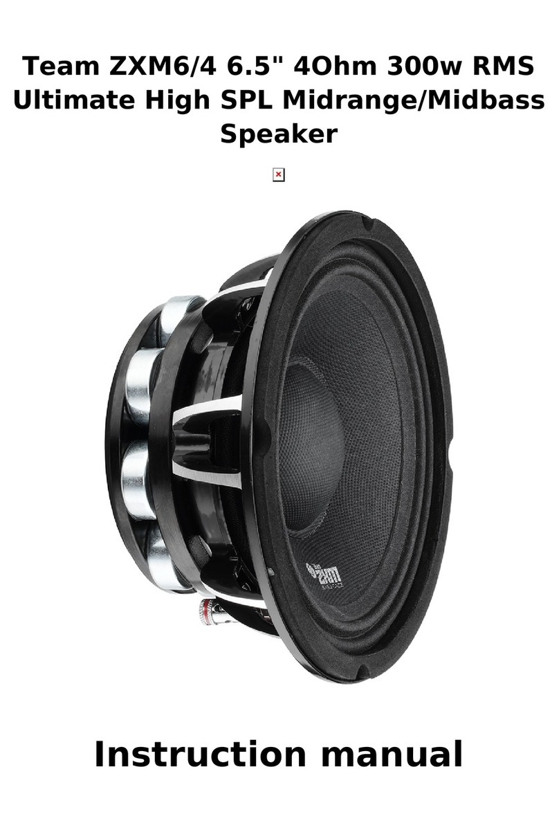 BASSFACE Team ZXM6/4 User manual