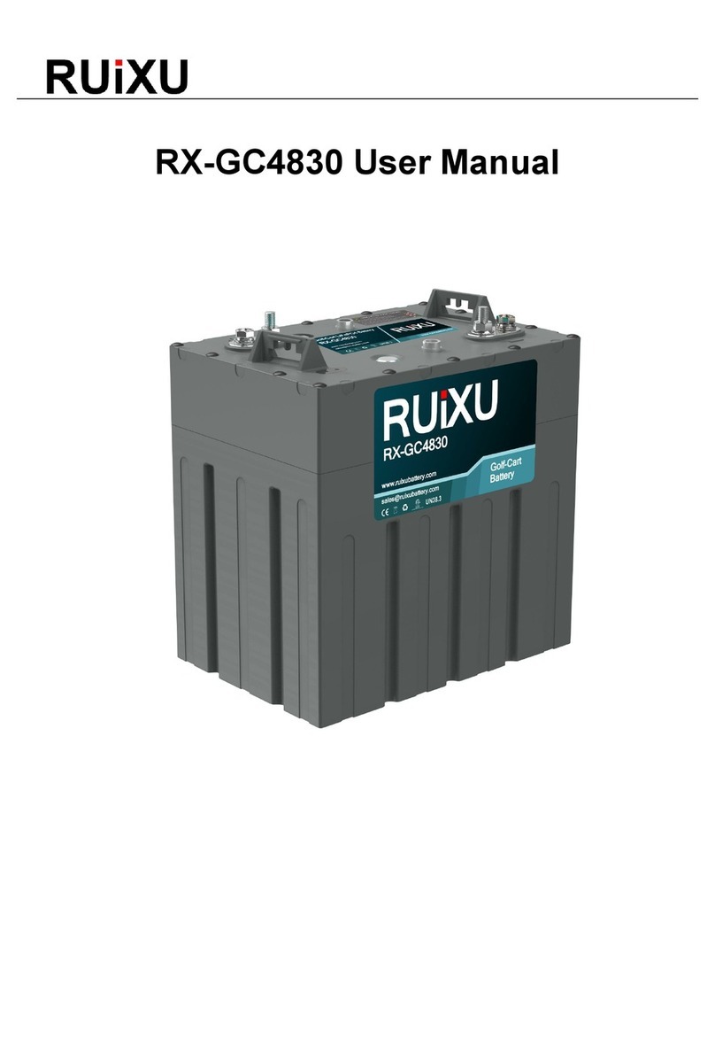 RUiXU RX-GC4830 user manual