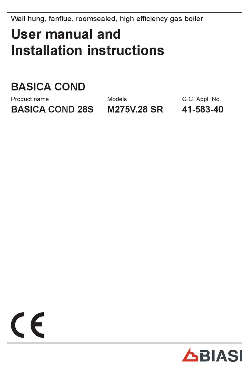Biasi 28S User manual and installation instructions