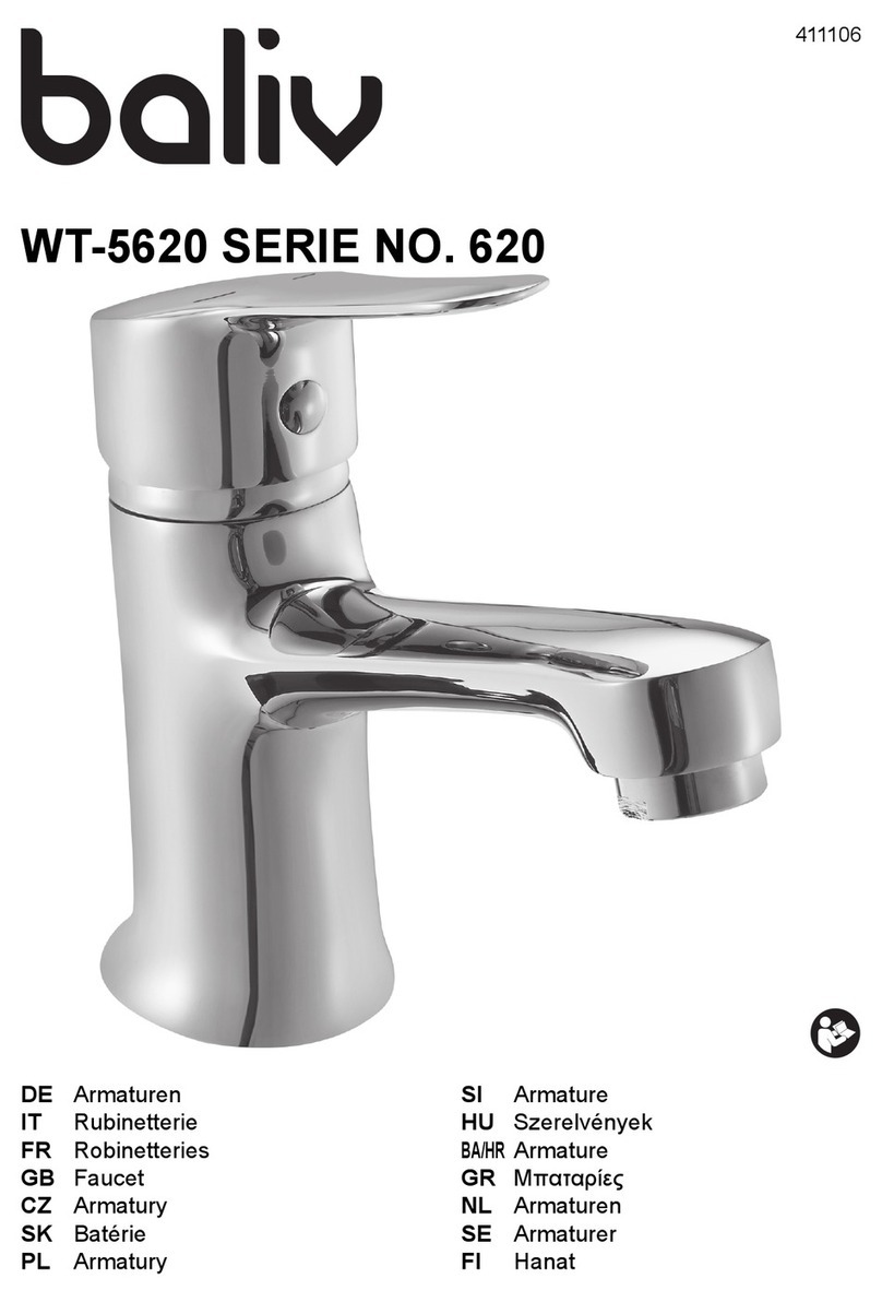 baliv WT-5620 manual