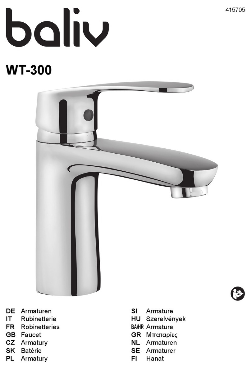baliv WT-300 manual
