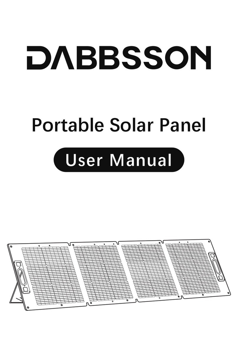 DABBSSON DBS105S user manual