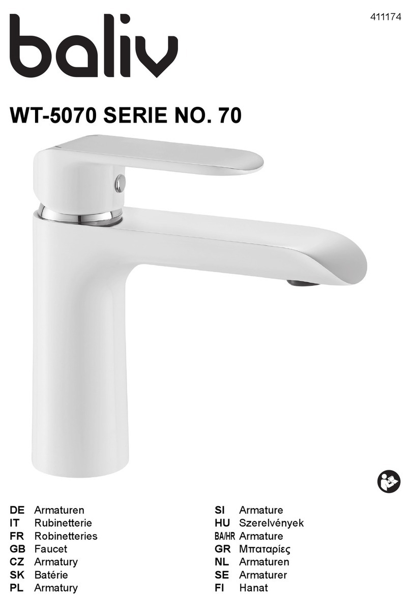 baliv WT-5070 manual