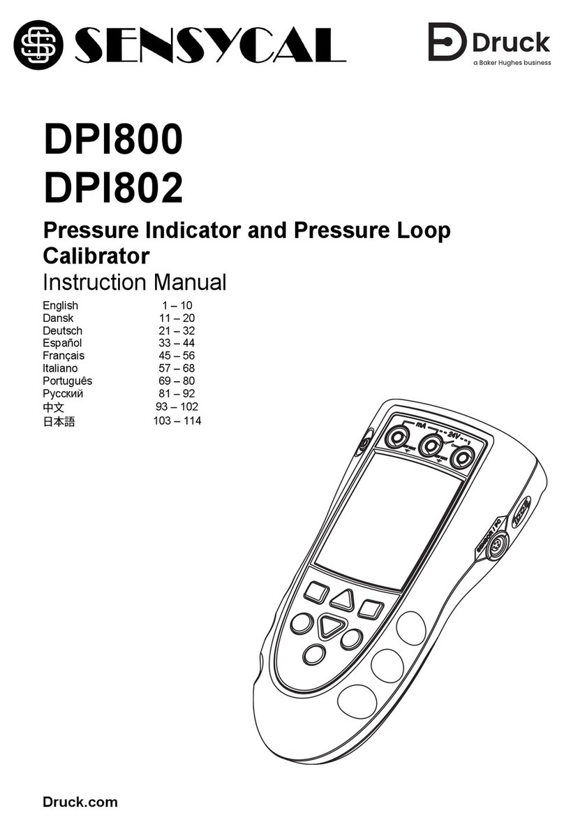 Baker Hughes Druck Sensycal DPI800 User manual