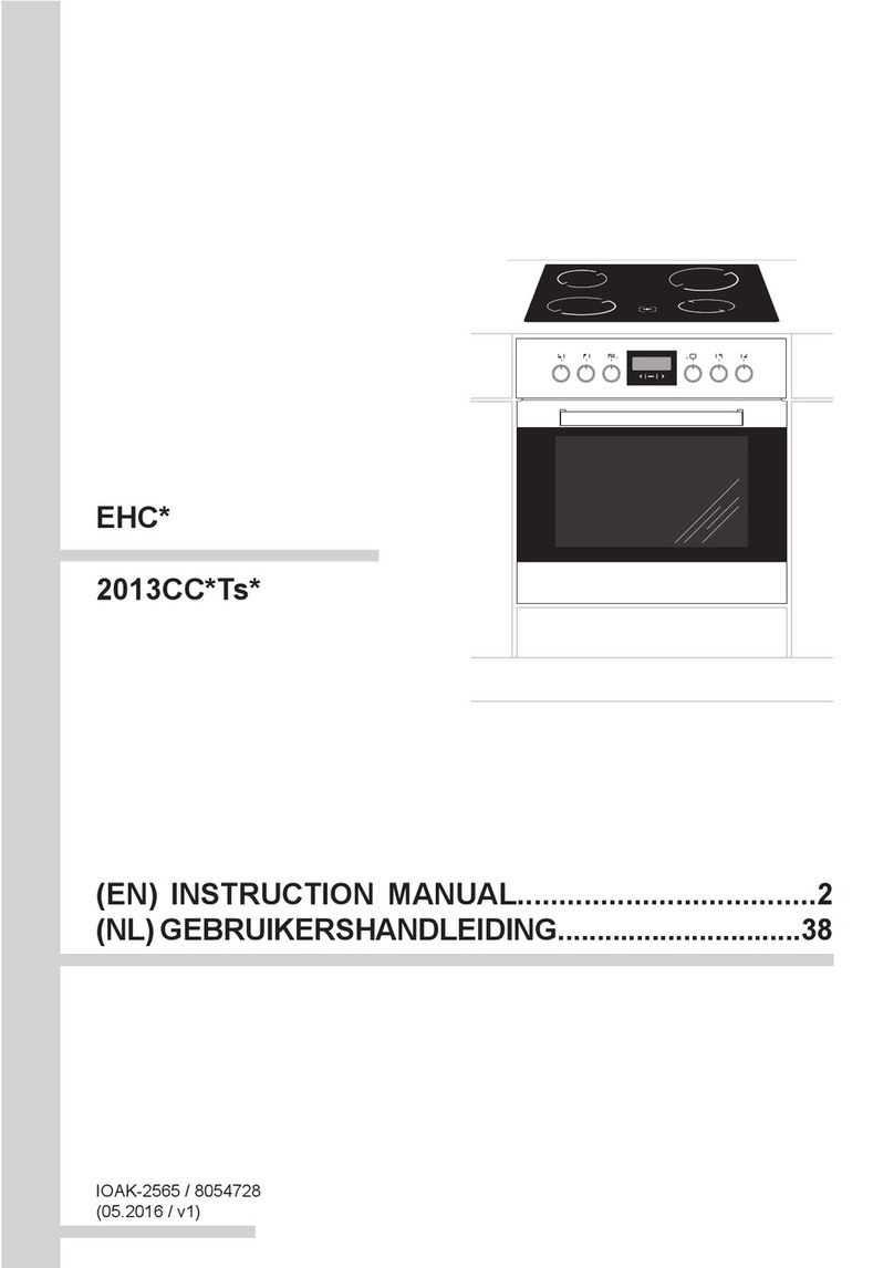Amica 2013CC Ts Series instruction manual