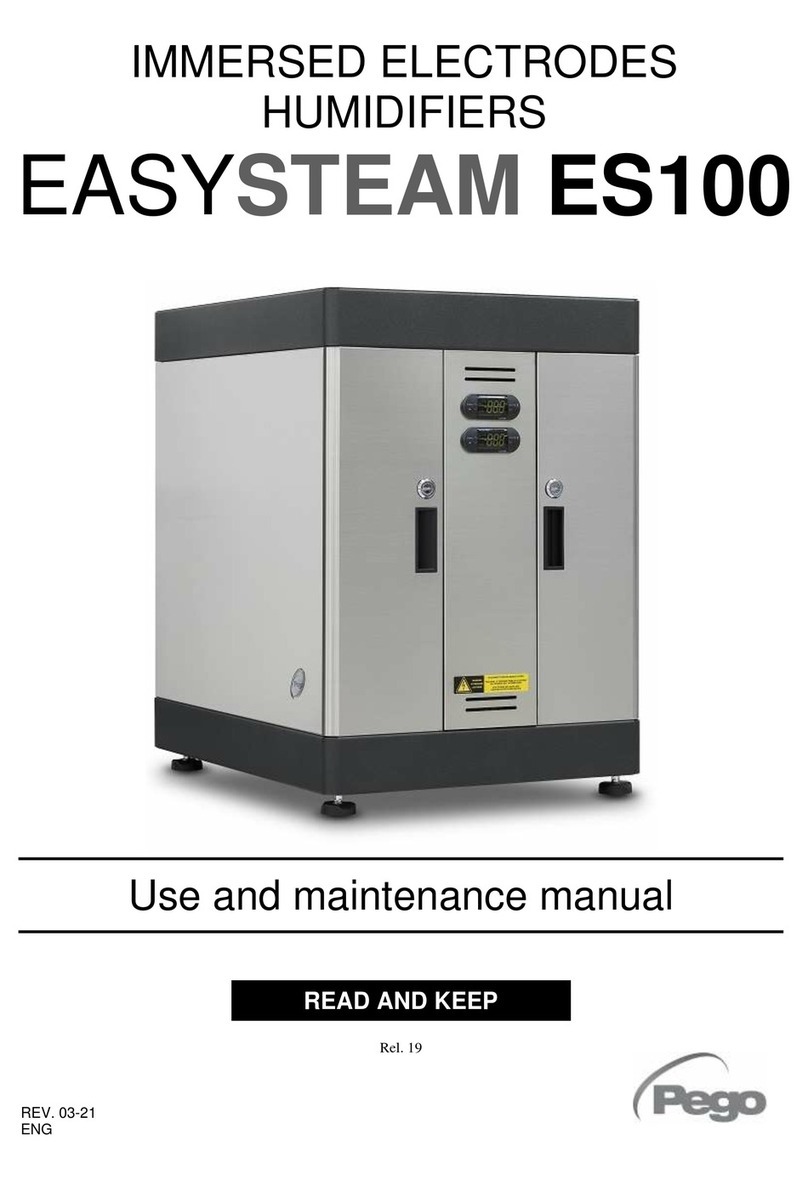 Pego EASYSTEAM ES100 User manual