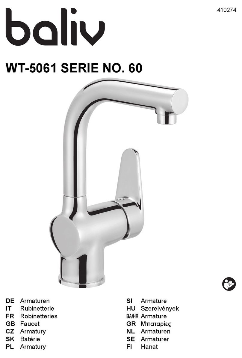 baliv WT-5061 Series manual