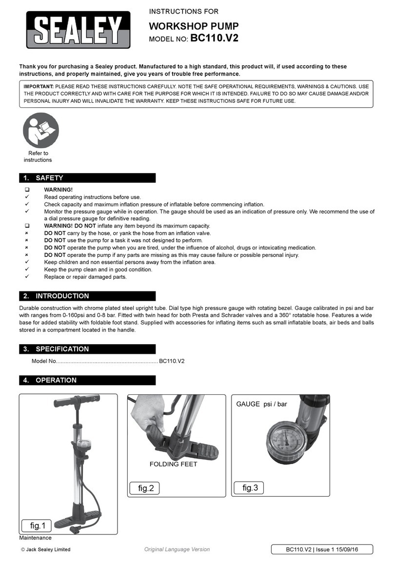 Sealey BC110.V2 User manual