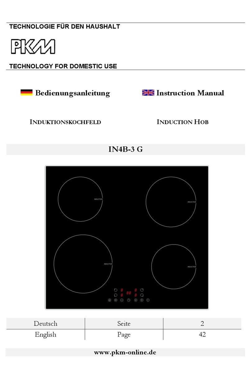 Pkm IN4B-3 G User manual