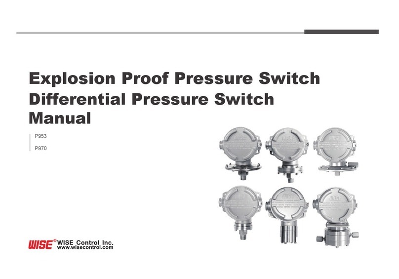 Wise P953 User manual