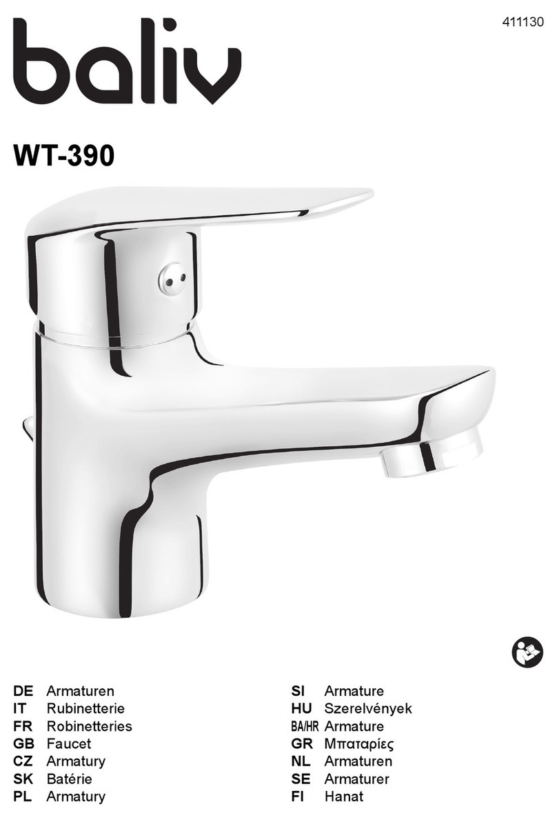 baliv WT-390 User manual