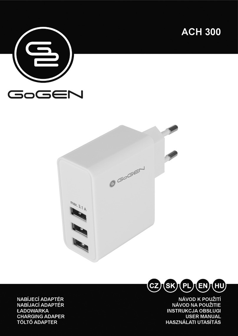 Gogen ACH 300 user manual