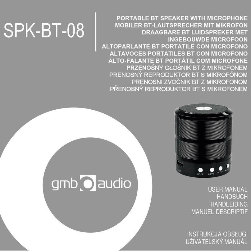 GMB Audio SPK-BT-08 user manual